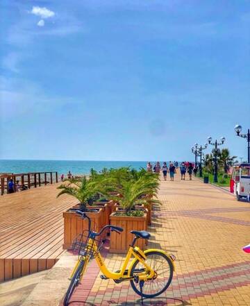 Фотографии Гостиница Admiral Olympic Beach Sochi г. Адлер Краснодарский край (Россия) №5 Фото Гостиница Admiral Olympic Beach Sochi г. Адлер 5