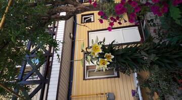 Фотографии Гостиница Guest House Tatiana г. Адлер Краснодарский край (Россия) №1 Фото Гостиница Guest House Tatiana г. Адлер 1
