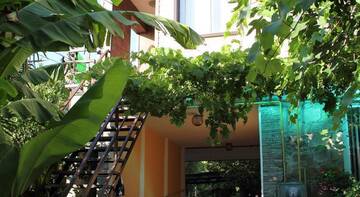 Фотографии Гостиница Guest house Atlantik г. Адлер Краснодарский край (Россия) №4 Фото Гостиница Guest house Atlantik г. Адлер 4