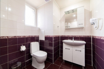 Фото номера 2-местный номер стандарт Гостевой дом ANI Guest House г. Адлер 4