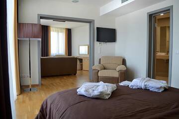 Фото номера Бизнес-люкс Гостиница Diana Palace г. Адлер 3