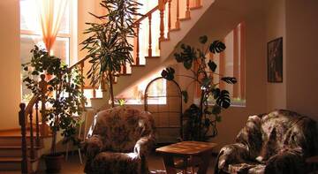 Фото номера Двухуровневый люкс Гостиница Alexandra Guest House г. Адлер 13
