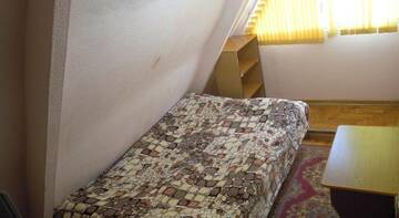 Фото номера Стандартный двухместный номер с 1 кроватью Гостиница Dikovinka-Sochi Guest House г. Адлер 4
