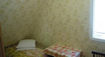 Фото номера Стандартный двухместный номер с 1 кроватью Гостиница Dikovinka-Sochi Guest House г. Адлер 2