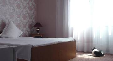 Фото номера Трехместный номер с собственной ванной комнатой Гостиница Guest House VEND г. Адлер 7