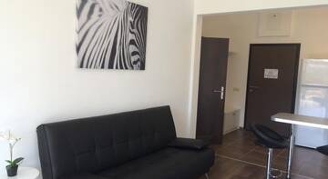 Фото номера Апартаменты с террасой Гостиница with Terrace on Triumfalnaia г. Адлер 2