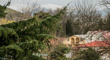 Фото номера Номер &quot;Стандарт&quot; Гостиница Гостевой Дом «Дом Меги» г. Адлер 40