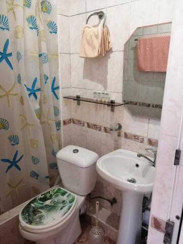Фото номера Стандартный двухместный номер с 1 кроватью или 2 отдельными кроватями Гостевой дом Домик на Акациях г. Адлер 43