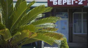 Фото номера Номер &quot;Стандарт&quot; Гостиница Берег г. Адлер 90