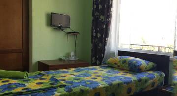 Фото номера Двухместный номер с 2 отдельными кроватями Гостиница Гостевой Дом Альпик г. Адлер 7