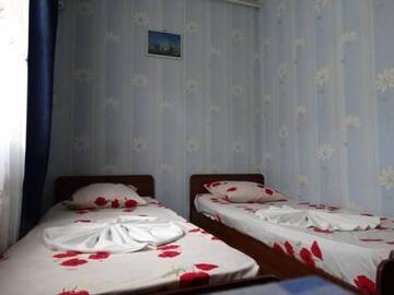 Фото номера Двухместный номер с 2 отдельными кроватями и ванной Гостиница Альбина г. Адлер 11