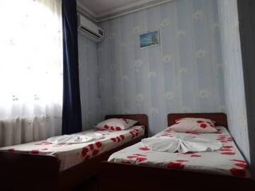 Фото номера Двухместный номер с 2 отдельными кроватями и ванной Гостиница Альбина г. Адлер 10